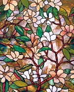 Магнолия - Magnolia, (Лист)